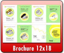 Brochure 12 x 18 - Direct Mail | Cheapest EDDM Printing